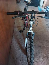 bicicletta per bambino/a