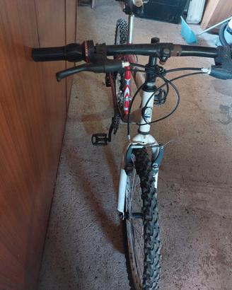 bicicletta per bambino/a