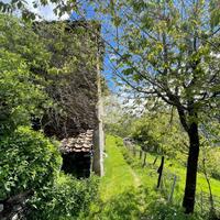 RUSTICO A VEZZA D'OGLIO