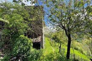 RUSTICO A VEZZA D'OGLIO