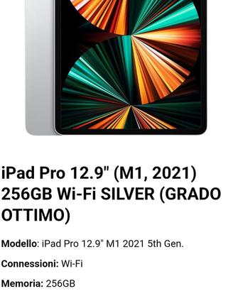Ipad Pro  12.9 Serie M1  256GB  wifi