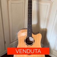 Washburn DLW10SCE elettrificata pari al nuovo