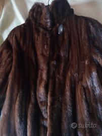 Visone femmina, TG.42