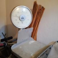Bilancia Professionale d epoca Bizerva