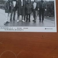 fotografia Vandelli, Dik Dik, Camaleonti 