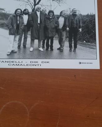 fotografia Vandelli, Dik Dik, Camaleonti 