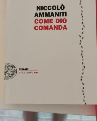 Come dio comanda