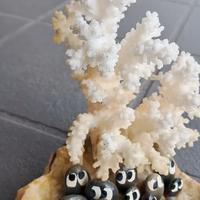 Sculturina corallo bianco - soprammobile vintage