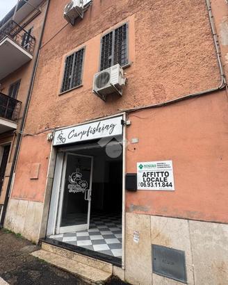 NEGOZIO A ALBANO LAZIALE