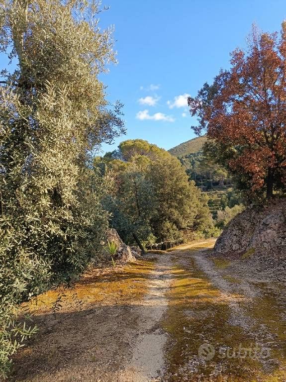 Terreno di 3470 m² a Itri - Vista 4