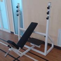 PANCA PROFESSIONALE PALESTRA FASSI SPORT USATA