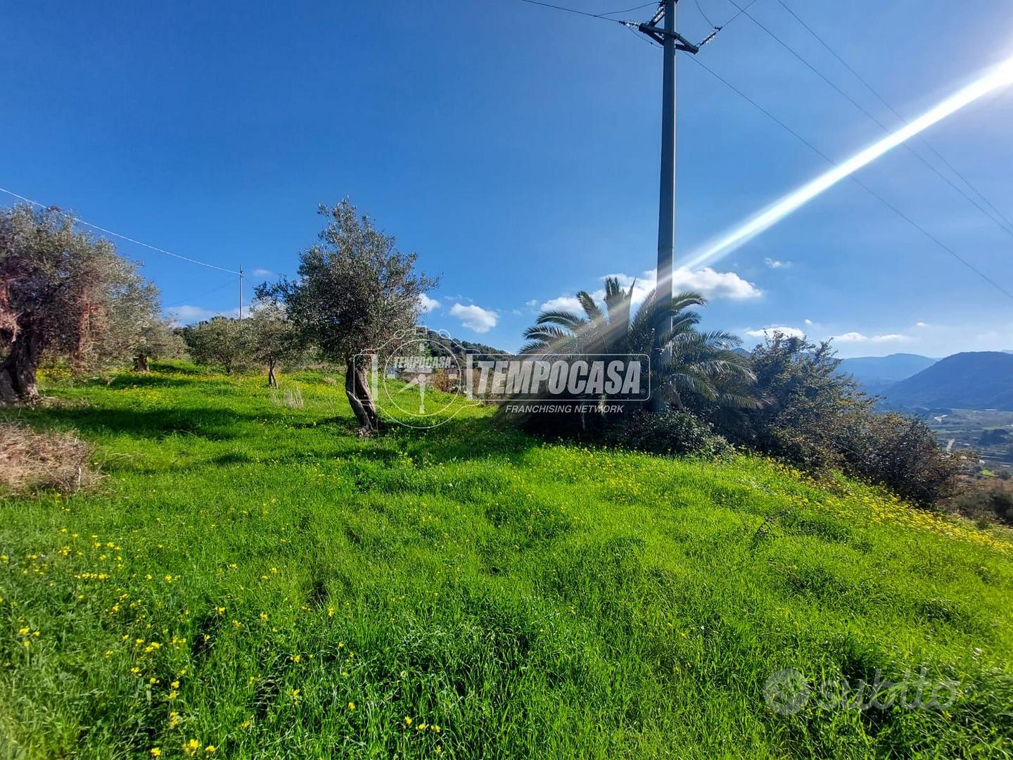 TERRENO DI UN ETTARO CON RUDERE A PATTI. - Vista 3