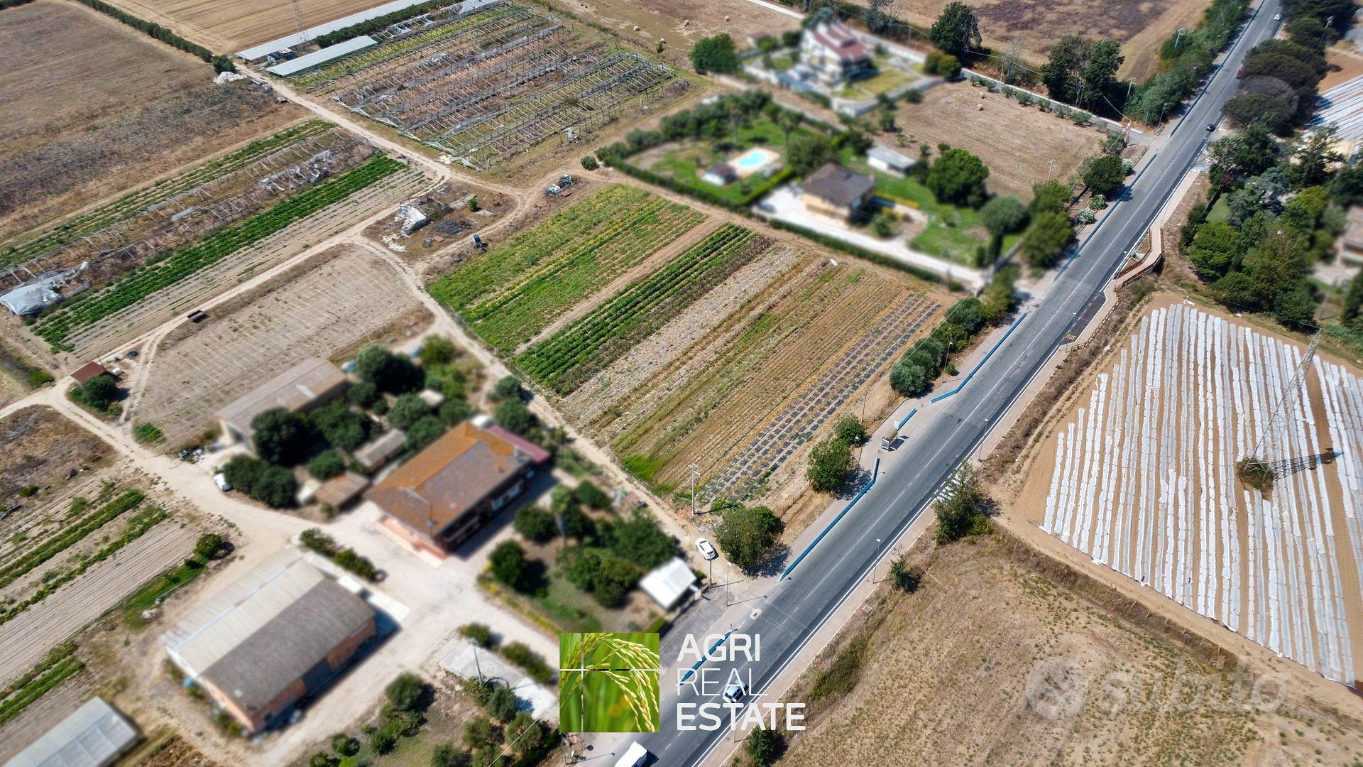 Terreno agricolo di 1 ettaro - Vista 2