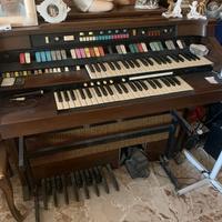 Organo Hammond Aurora