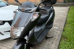 Honda foresight 2001