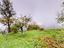 Immagine 25