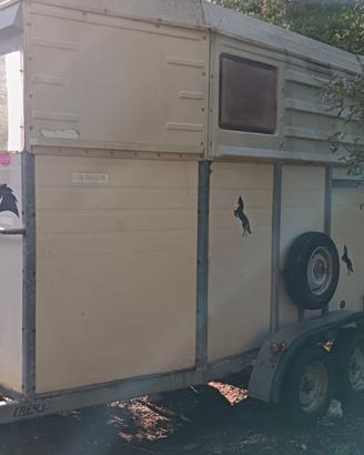Trailer 1 posto