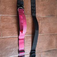 due collari taglia media