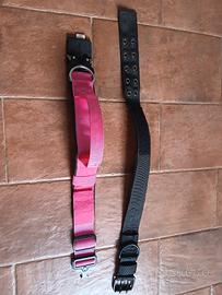 due collari taglia media