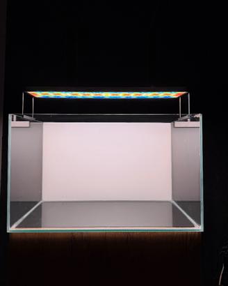 Acquario - Twinstar - Osmosi