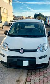 fiat panda hibryd 
