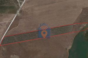 Castelvetrano Terreno Agricolo