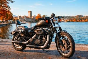 Harley-davidson Sportster XL883R