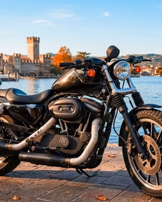 Harley-davidson Sportster XL883R