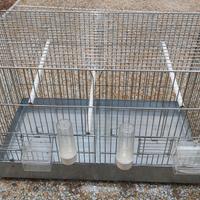 Gabbia per uccellini