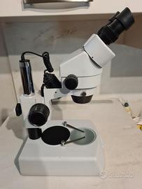 Stereomicroscopio optika raptor