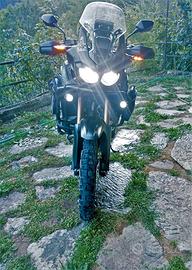 HONDA CRF AFRICA TWIN DCT 1000 ANNO 2019