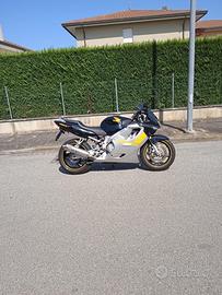 Honda CBR 600 - 1999