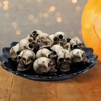 teschi decorazione terrario hallowen