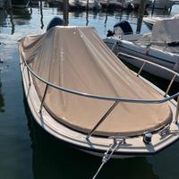 Boston whaler 19