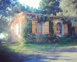 Casa con gisrdino vicino al mare
