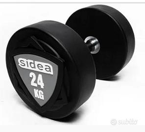 Pesi manubri 24 kg