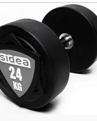Pesi manubri 24 kg