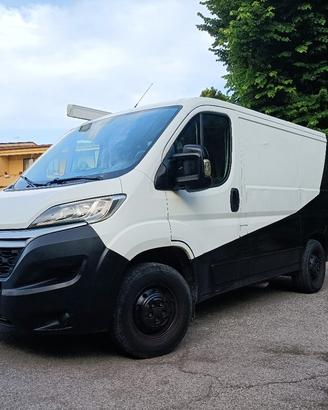 van autocarro