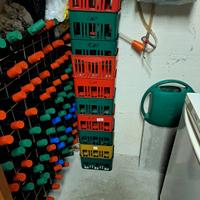 Cestelli portabottiglie  x 6