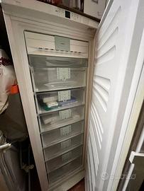 Cassetti congelatore Liebehr