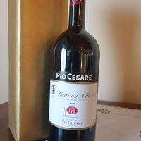 Barbera d'Alba Pio Cesare Magnum 2019 - MAGNUM