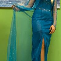 Cosplay / costume / abito elsa di frozen