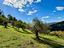 Immagine 19