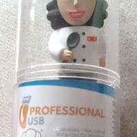 flash memory USB 8 Gb