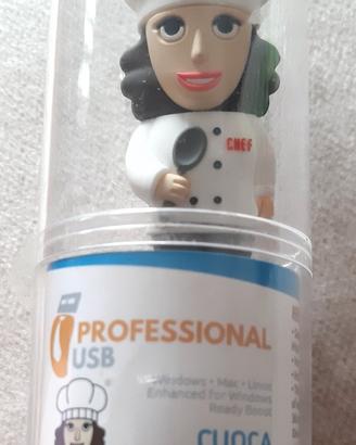 flash memory USB 8 Gb