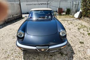 ALFA ROMEO Spider - 1982