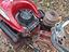 Immagine 2