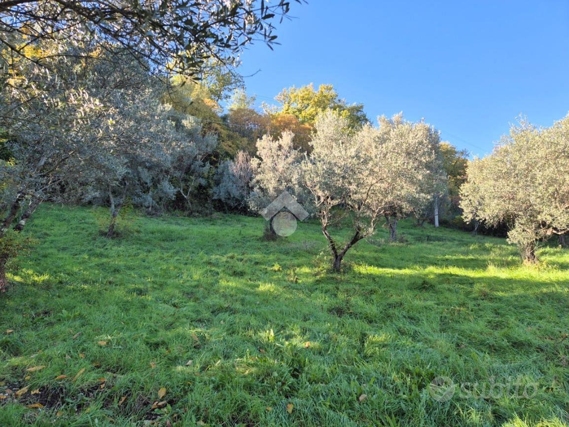 TER. AGRICOLO A MOMPEO - Vista 3