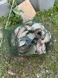 Pesce pescato nel fiume Po