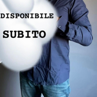 Aiutante sorvegliante pulitore automunito e serio